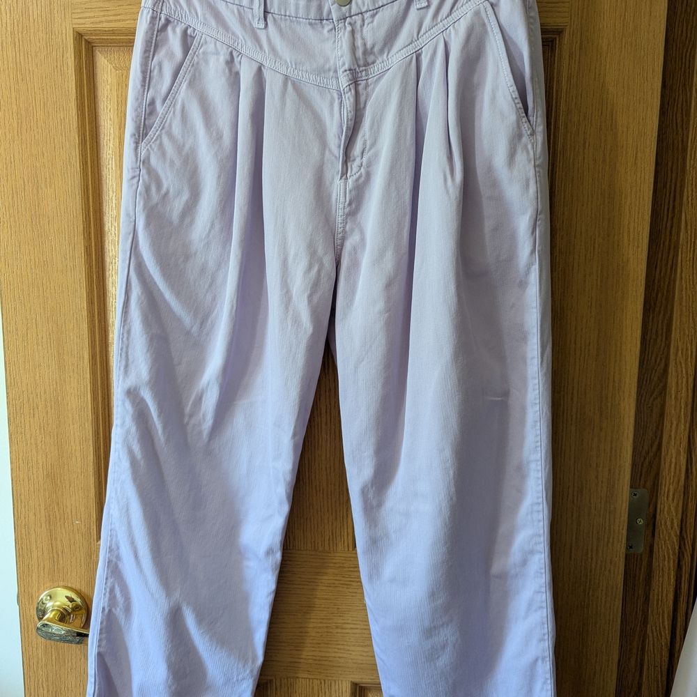 Sundry Women's Light Purple Chinos